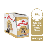 Pate Mèo Ba Tư Trưởng Thành Royal Canin Persian Adult 85g - Paddy Pet Shop